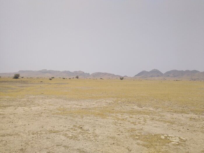 عملیات ساخت پتروپالایش ۶ میلیارد دلاری گچساران  بزودی آغاز می‌شود