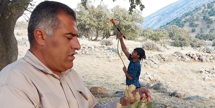 آغاز عملیات مقابله با آفت برگخوار در جنگل‌های کهگیلویه/تصاویر