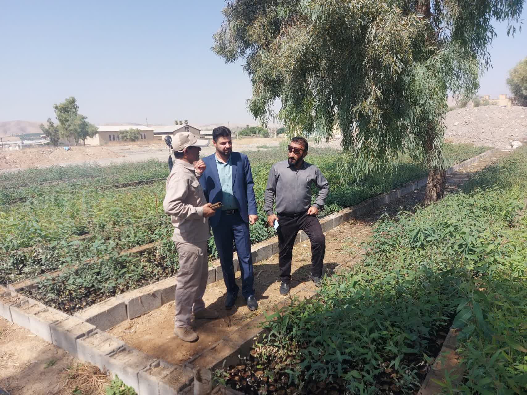 بازدید میدانی مدیرکل منابع طبیعی و آبخیزداری استان کهگیلویه وبویراحمد از پروژه های اجرایی شهرستان های گچساران ،کهگیلویه وچرام/تصاویر