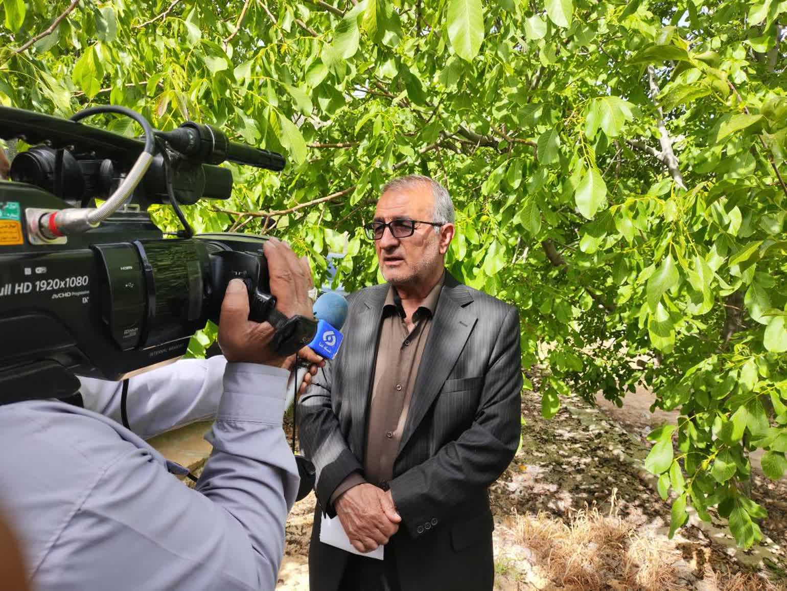 استاندار کهگیلویه و بویراحمد: پروژههای عمرانی مصوب سفر ۲۰ درصد پیشرفت فیزیکی دارند