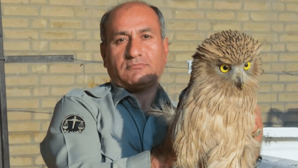 شهادت محیطبان خائیز کهگیلویه رسماً تأیید شد