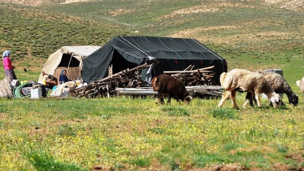 رئیس اداره امور عشایر کهگیلویه خبر داد:  اختصاص ۲۰ میلیارد تومان اعتبار برای توسعه زیرساخت‌های عشایری کهگیلویه
